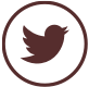 Twitter icon